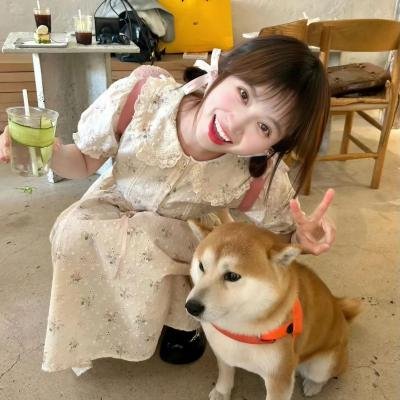 护垫侠